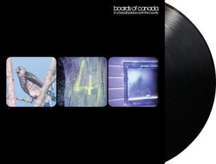 LP ploča Boards of Canada - In a Beautiful Place Out In the Country (12" Single) - 1