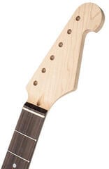 Hals für Gitarre Dr.Parts Telecaster 21 Palisander Hals für Gitarre - 2