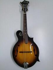 SX Guitars - Muziker