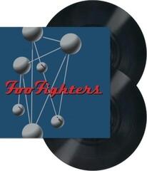 Schallplatte Foo Fighters - Colour and the Shape (2 LP) - 1