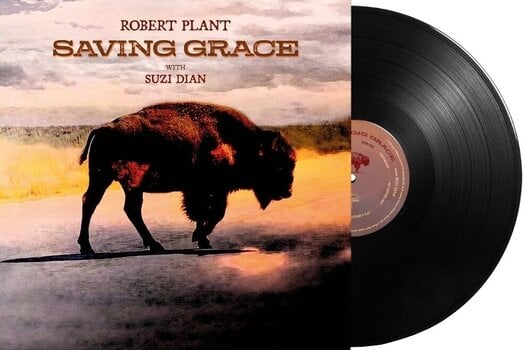 Vinyl Record Robert Plant - Saving Grace (140 g) (LP) - 2