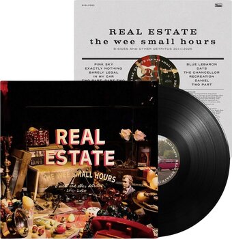 LP ploča Real Estate - The Wee Small Hours: B-Sides And Other Detritus 2011-2025 (LP) - 2