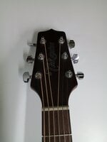 Takamine GLN11E Natural Satin Електро-акустична китара Джъмбо