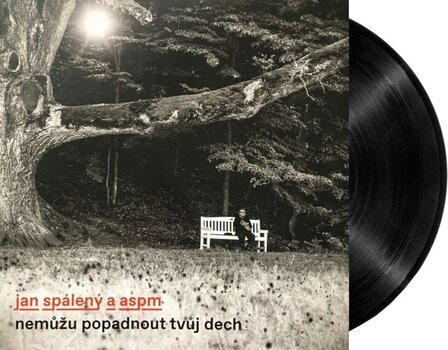 Vinüülplaat Jan Spálený A ASPM - Nemůžu popadnout tvůj dech (LP) - 2