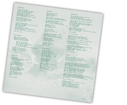 LP ploča Stratovarius - Fright Night (Limited Edition) (Red Coloured) (LP) - 3