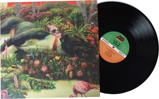 Płyta winylowa Rival Sons - Feral Roots (LP) - 2