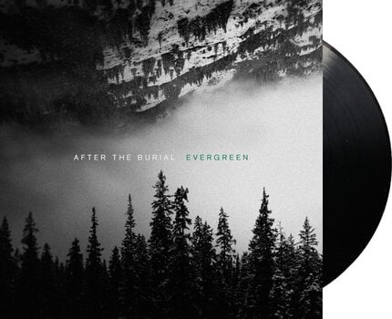 LP ploča After the Burial - Evergreen (Reissue) (LP) - 2