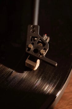 Portable turntable
 Crosley Stave Walnut Portable turntable - 15