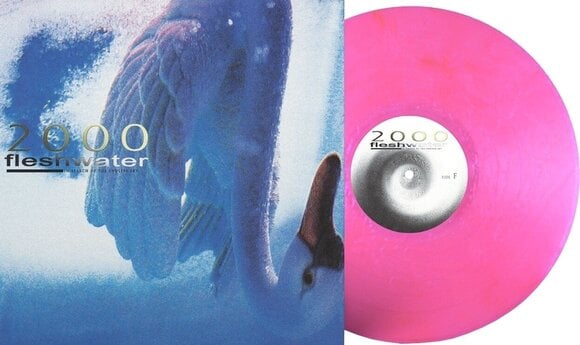 LP ploča Fleshwater - 2000: In Search Of The Endless Sky (Indie Exclusive) (Pink Coloured) (LP) - 2