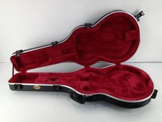 Koffer für E-Gitarre Ibanez MS100C Koffer für E-Gitarre (Neuwertig) - 3