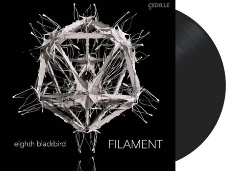 Disco in vinile Dessner / Eighth Blackbird - Filament (LP) - 2