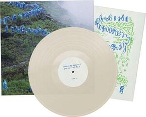 LP ploča Courtney Barnett - End Of The Day (Milky Clear Coloured) (LP) - 1