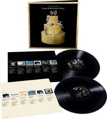 Disque vinyle The Boomtown Rats - The First 50 Years: Songs Of Boomtown Glory (2 LP) - 2