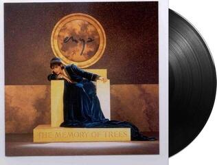 Hanglemez Enya - The Memory Of Trees (LP) - 1