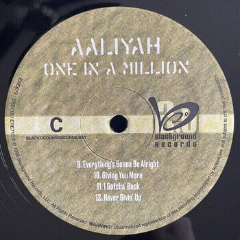 Vinüülplaat Aaliyah - One In A Million (2 LP) - 5