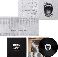 Disco de vinil Gavin James - Goldrush (LP) - 1