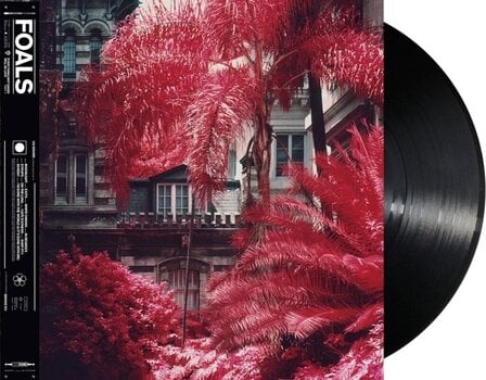 Грамофонна плоча Foals - Everything Not Saved Will Be Lost Part 1 (LP) - 2