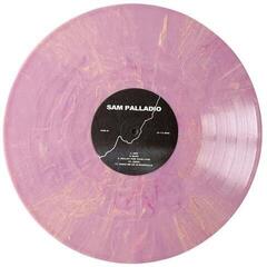 LP ploča Sam Palladio - The Perfect Summer's Day, Before We Lost The Light (Peach Coloured) (LP) - 2