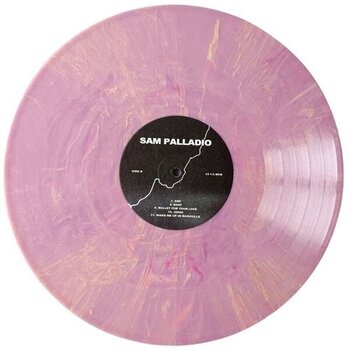 LP ploča Sam Palladio - The Perfect Summer's Day, Before We Lost The Light (Peach Coloured) (LP) - 3