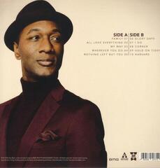 Vinylplade Aloe Blacc - All Love Everything (LP) - 2