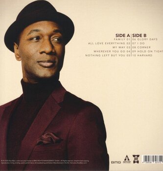 Vinylskiva Aloe Blacc - All Love Everything (LP) - 3