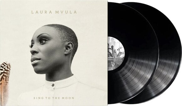 Disc de vinil Laura Mvula - Sing To The Moon (Reissue) (2 LP) - 2