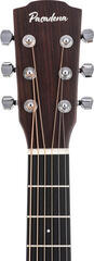 Akustikgitarre Pasadena PT-200 Natural Akustikgitarre - 6