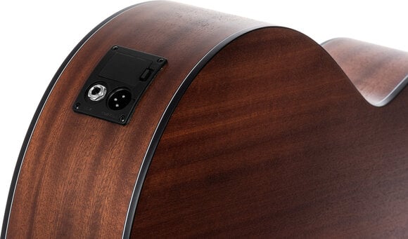 Guitare acoustique-électrique Pasadena PT-100E Natural Guitare acoustique-électrique - 8