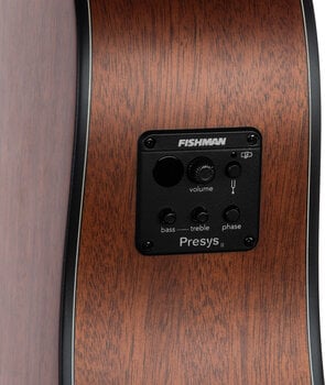 Elektro-akustična Dreadnought Pasadena PD-200E Natural Elektro-akustična Dreadnought - 7