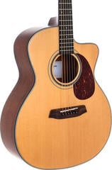 Jumbo akoestische gitaar Pasadena PGC-200 Natural Jumbo akoestische gitaar - 3
