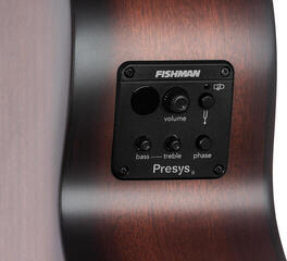 Sonstige Elektro-Akustikgitarren Pasadena PT-200E Vintage Sonstige Elektro-Akustikgitarren - 6