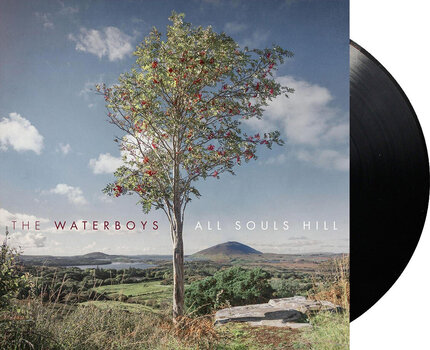 Disc de vinil The Waterboys - All Souls Hill (LP) - 2