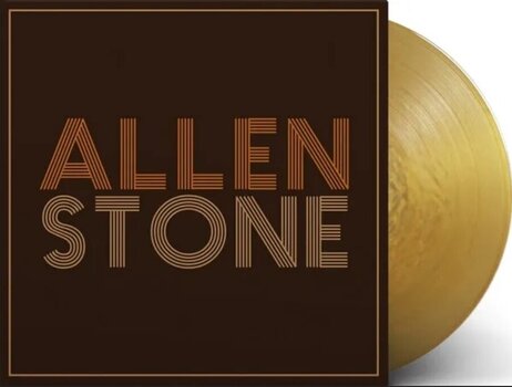 Vinylplade Allen Stone - Allen Stone (10th Anniversary Edition) (Indie Exclusive) (Gold Coloured) (LP) - 2