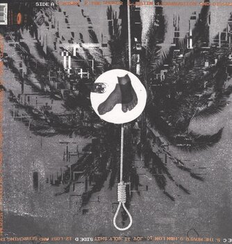 LP ploča Against Me! - Total Clarity (2 LP) - 2