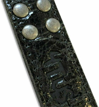 Tracolla per chitarra Richter Richard Fortus Signature Guitar Strap Black - 2