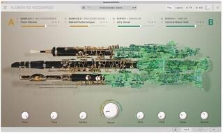 VST Instrument Arturia Augmented WOODWINDS (Digitalni izdelek) - 2