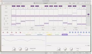 VST Instrument Arturia Augmented WOODWINDS (Digitalni izdelek) - 3