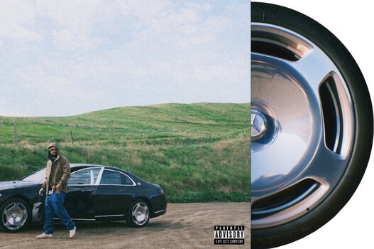 Płyta winylowa Larry June - Doing It For Me (Picture Disc) (LP) - 2