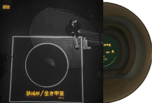 LP ploča Olamide - Ikigai Vol. 1 (Silver In Black Ice Coloured) (LP) - 2