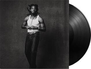 LP plošča Shaboozey - Where I've Been, Isn't Where I'm Going (Gatefold Sleeve) (LP) - 1