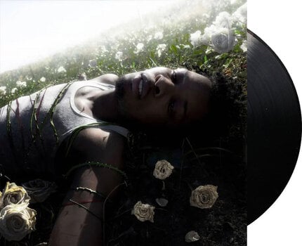 LP platňa D4vd - Withered (Re-press) (LP) - 2