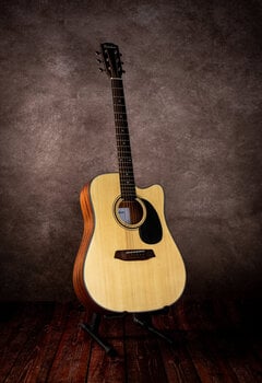 Akustická gitara Pasadena PDC-100 Natural Akustická gitara - 9