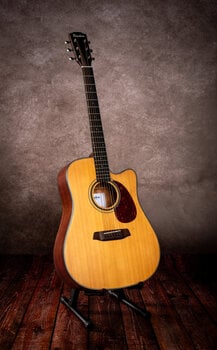 Chitarra Acustica Pasadena PDC-200 Natural Chitarra Acustica - 9