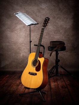 Chitarra Acustica Pasadena PDC-200 Natural Chitarra Acustica - 10