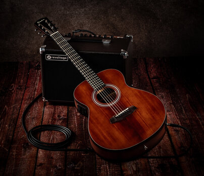 Guitare acoustique-électrique Pasadena PT-200E Vintage Guitare acoustique-électrique - 12