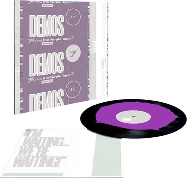 LP ploča Pixies - Demos (Limited Edition) (Black & Purple Coloured) (LP) - 2