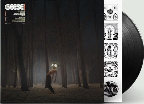 Hanglemez Geese - Projector (LP) - 2