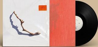 Hanglemez PJ Harvey - I Inside the Old Year Dying (LP) - 1