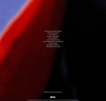 Vinyl Record Christine Mcvie - Christine McVie (LP) - 3