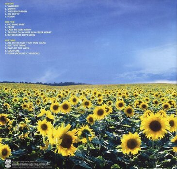 LP deska Stone Temple Pilots - Thank You (2 LP) - 3